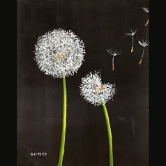 Kurzus - 2. FEKETÉRE FEHÉRREL