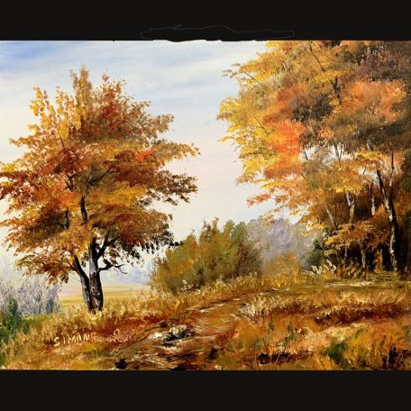 Kurzus - 40. Felvidéki tájak