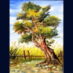 online festőkurzus - online festés - festés tanfolyam - festes kezdoknek online - elmenyfestes ajandek - ajandek festés - 