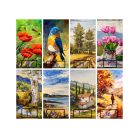 Vágatlan videók - 2 darab